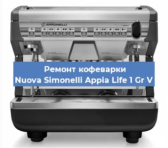 Ремонт кофемашины Nuova Simonelli Appia Life 1 Gr V в Челябинске